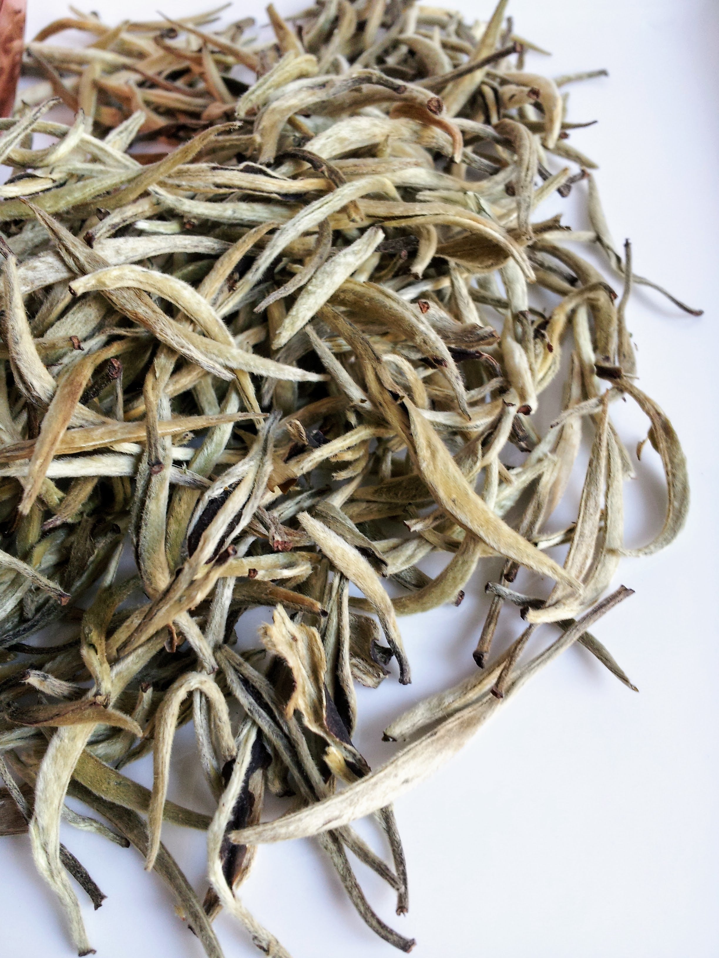 Tea Silver White Tea (Silver Needle) | Natures Cup Tea | Tea | Oakville